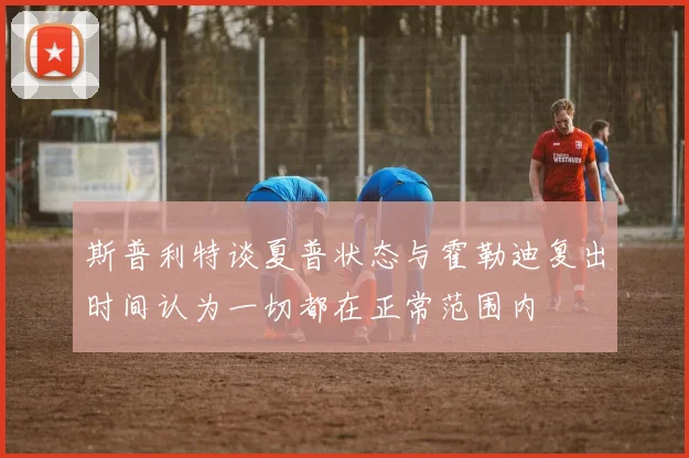 斯普利特谈夏普状态与霍勒迪复出时间认为一切都在正常范围内